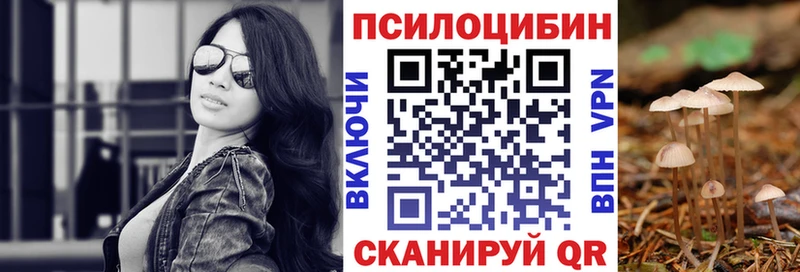 Галлюциногенные грибы Psilocybe  цена   Тулун 
