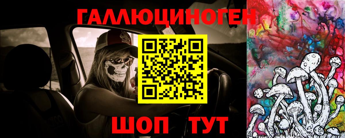 Тулун  Галлюциногенные грибы GOLDEN TEACHER  Вход с VPN 